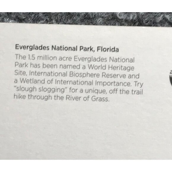 VTG National Park Postcards Set Of 4 Yosemite Everglades Yellowstone Mt. Rainier - Picture 13 of 13